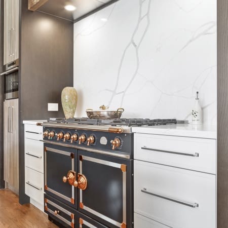 Professional Grade Oven and Stove