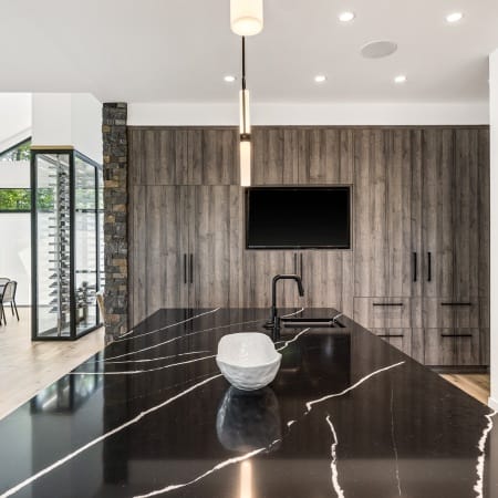 Panels with Built-In Television Monitor