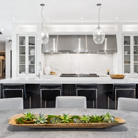 Professional Grade Stainless Steel Hood