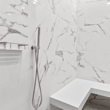 Rain Shower with Hand Sprayer