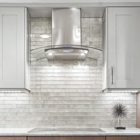 Built-In Television Monitor