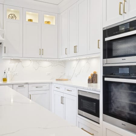 Built-In Appliances with Under Cabinet Lighting